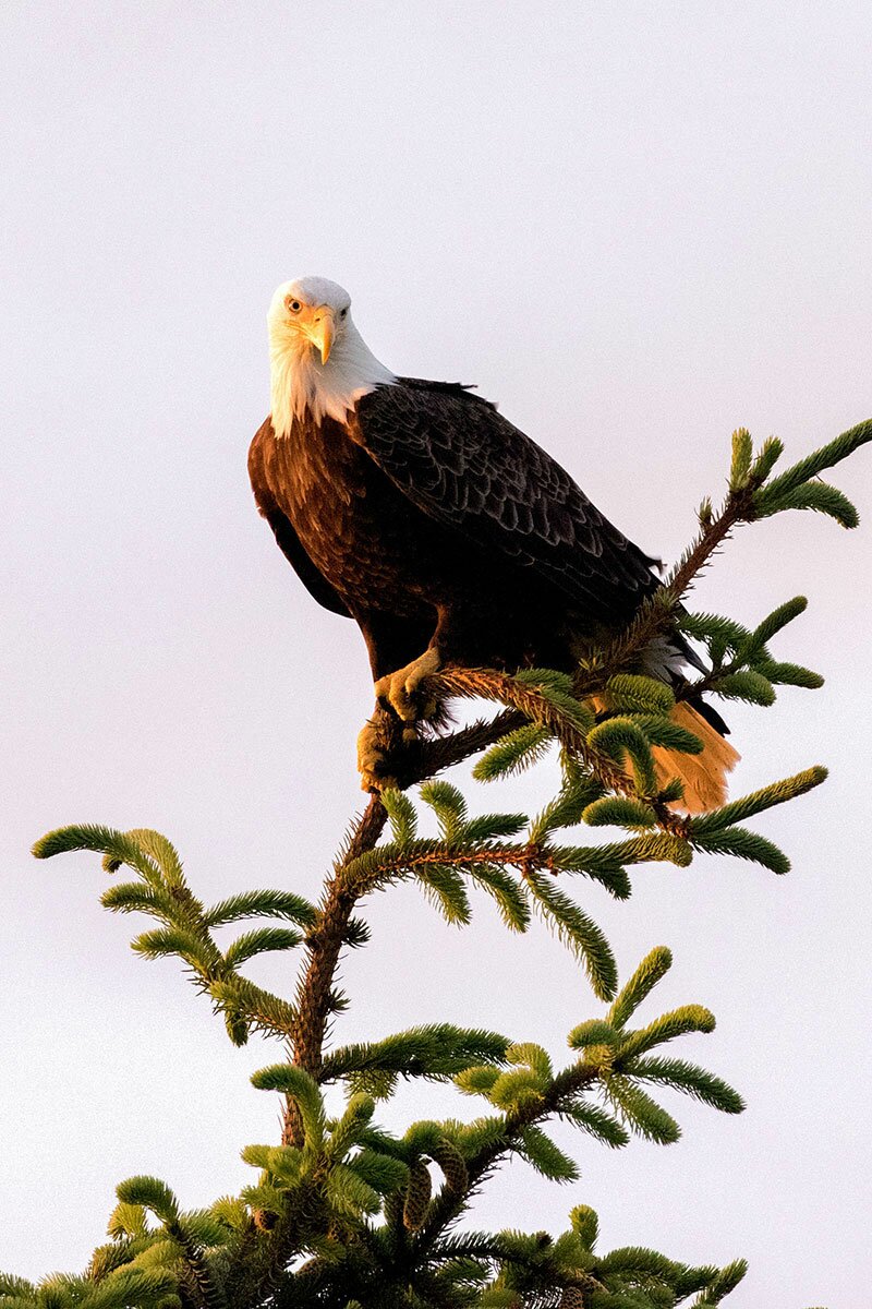 John Schnell | Web Design and Photography