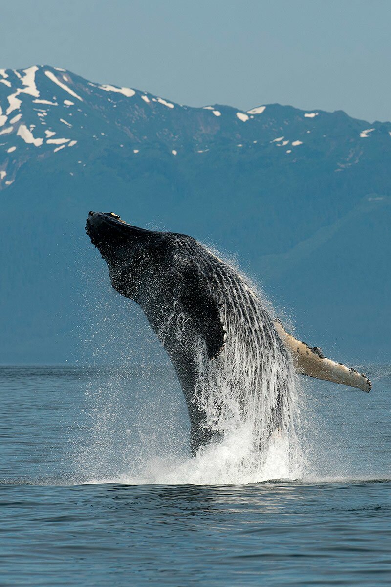 John Schnell | Web Design and Photography